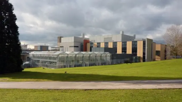 The University of York