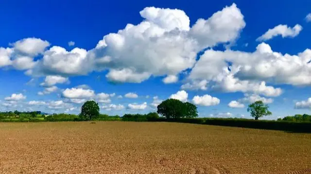 Gnosall