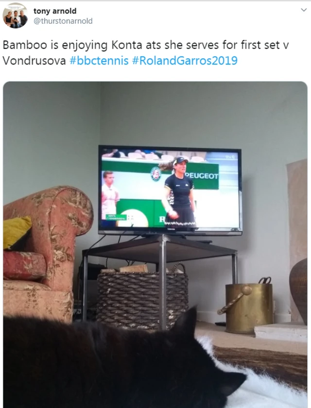 A tweet showing a cat watching Konta