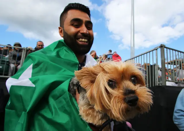 Dog in the crowd in Taunton