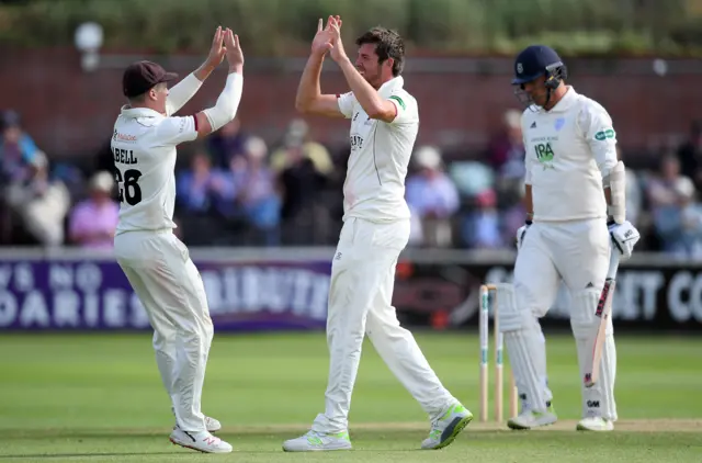 Jamie Overton celebrates a wicket with skipper Tom Abell