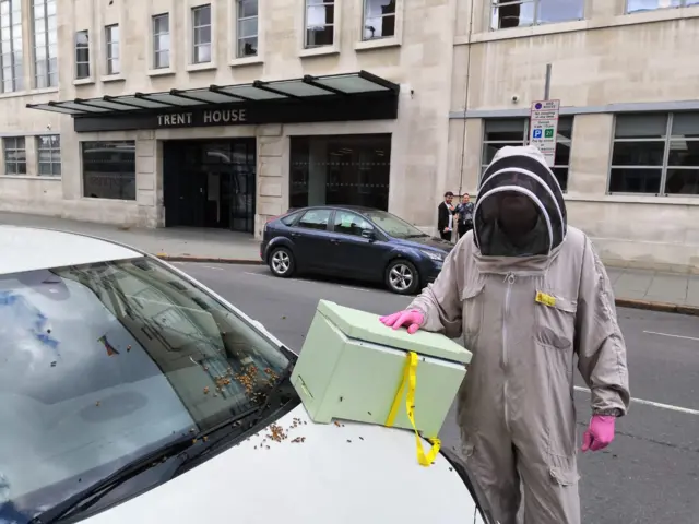 Beekeeper with bee box