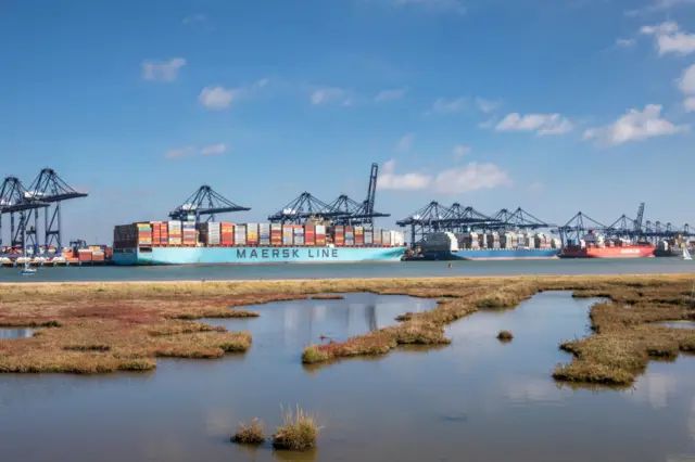 Container ships at the Port of Felixstowe