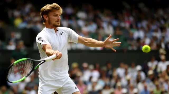 David Goffin