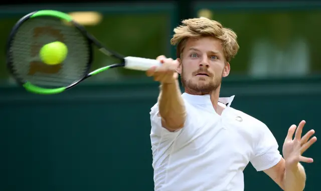 David Goffin