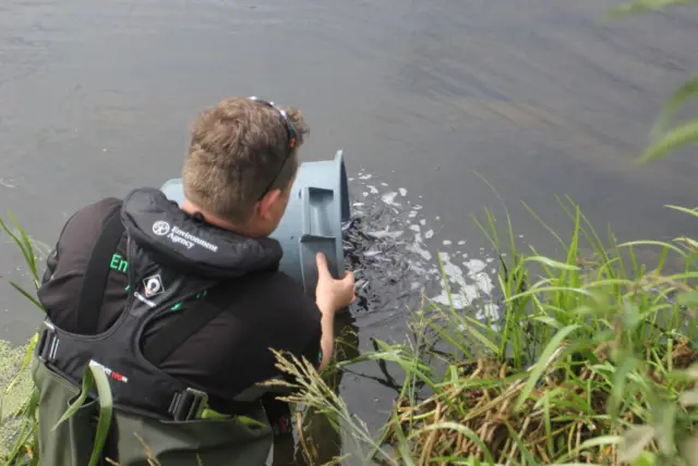 Man releasing fish into river