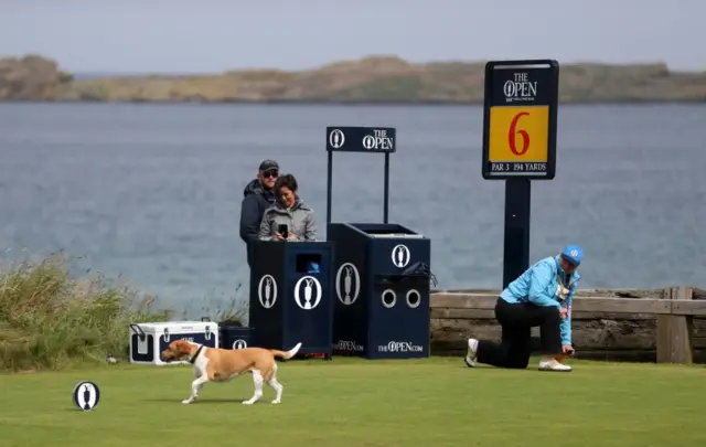 A beagle on the sixth tee