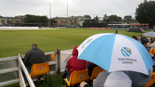 Umbrellas at Chelmsford