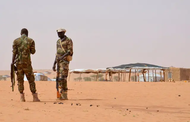 Niger troops