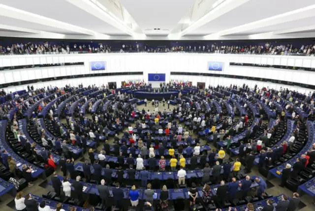 European Parliament