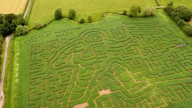 A maze cut into a shape of an astronaut