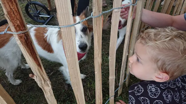 A small child smiling at a cute dog