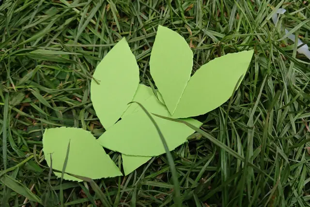 Some paper leaves in the grass