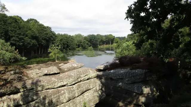 Plumpton Rocks