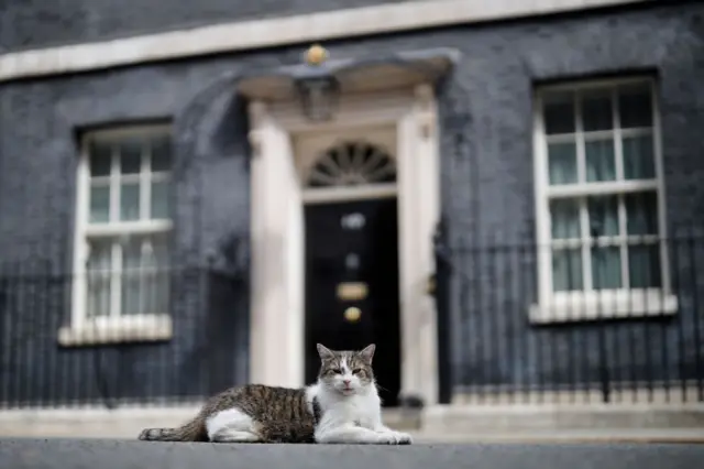 Larry the Downing Street cat