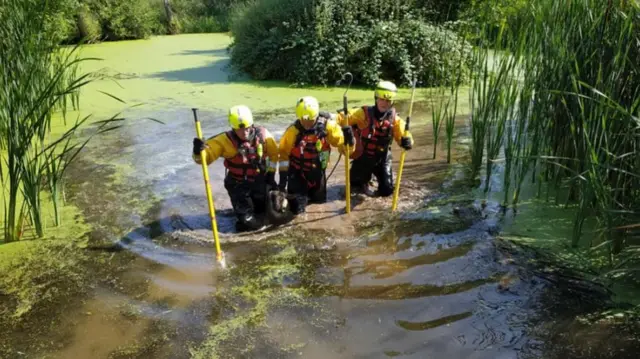 Sheep rescue