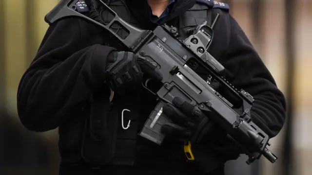 Firearms officer