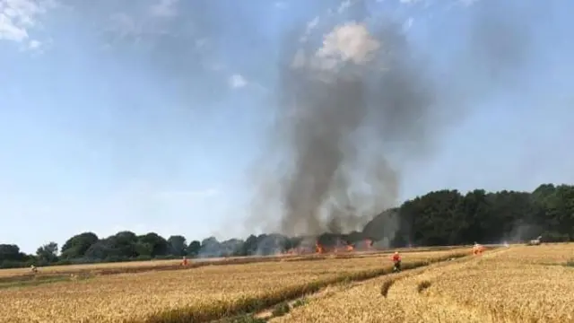 Crop fire