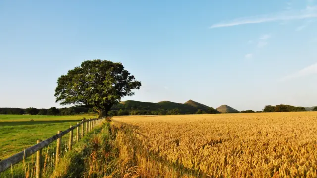 Longnor