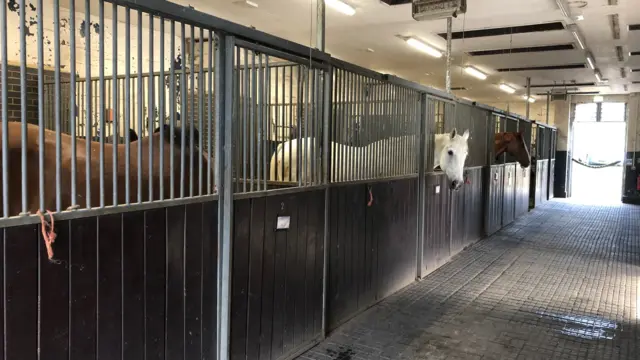 Police horses in their new home