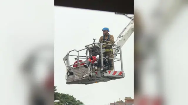 A firefighter with the young seagull