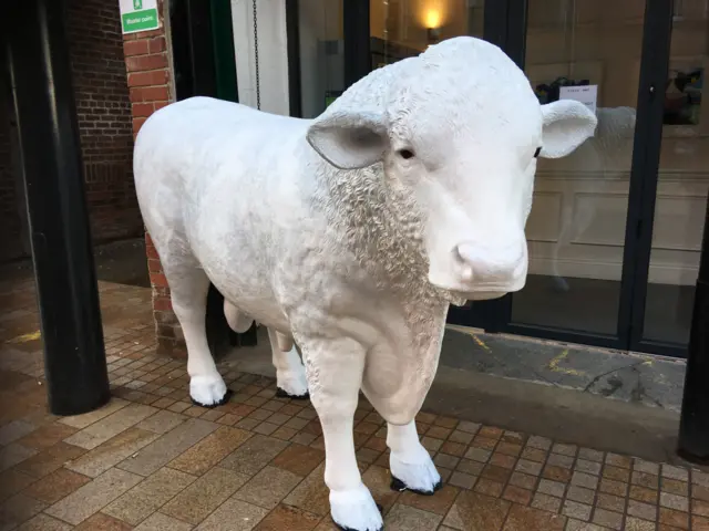 The cow outside Steak