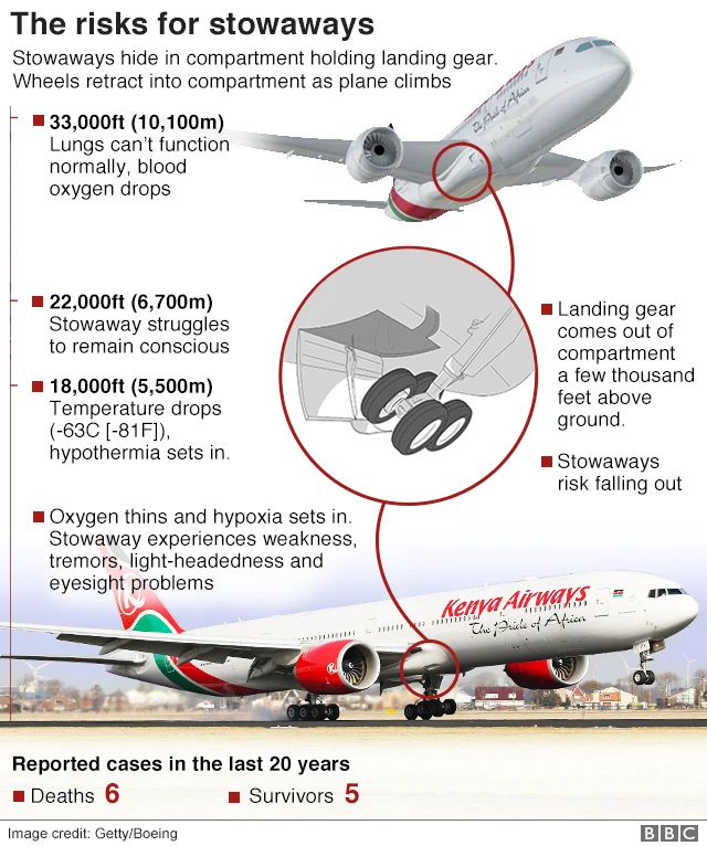 Infographic