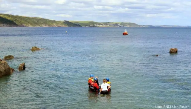 helping dolphin in sea