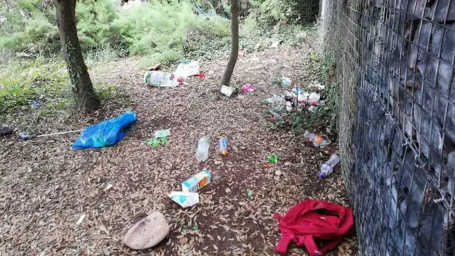 Litter in Jersey