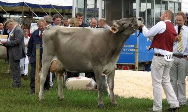 Nantwich show