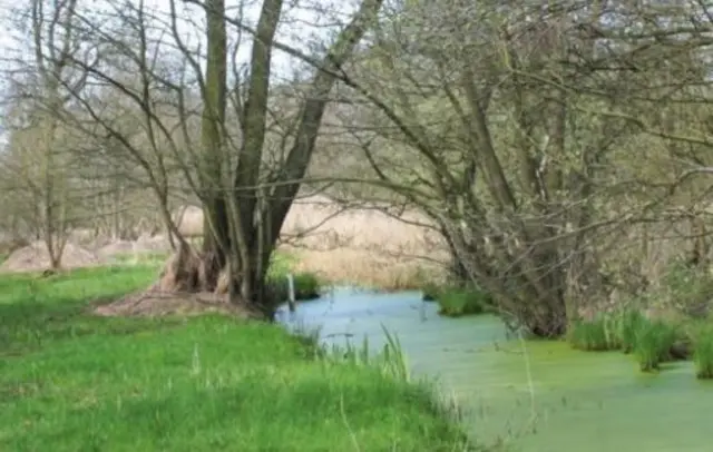 Askham Bog