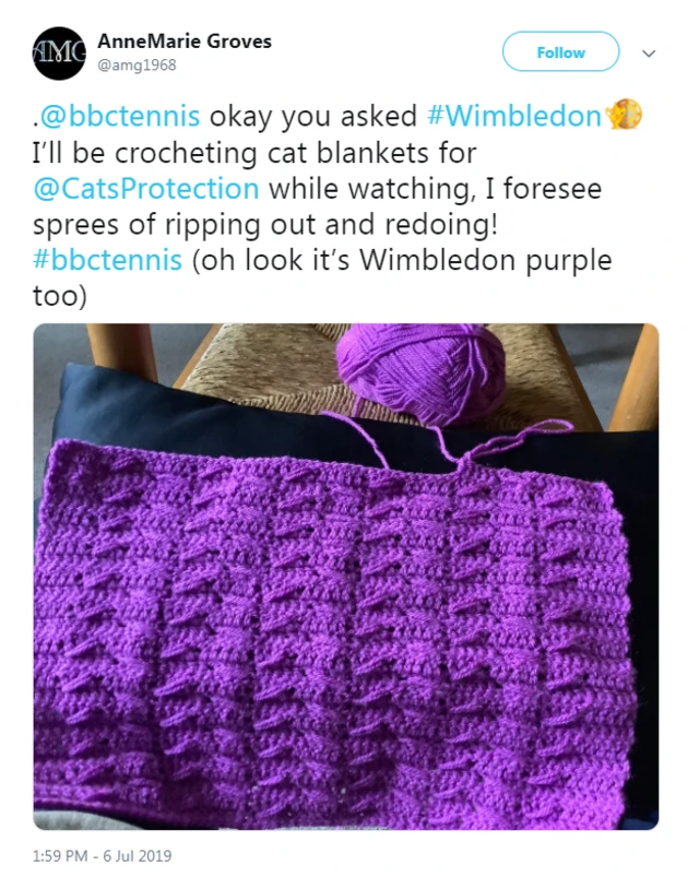 AnneMarie Groves tweeted: okay you asked #Wimbledon I’ll be crocheting cat blankets for @CatsProtection while watching, I foresee sprees of ripping out and redoing! #bbctennis (oh look it’s Wimbledon purple too)