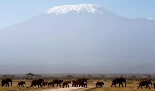 Kilimanjaro