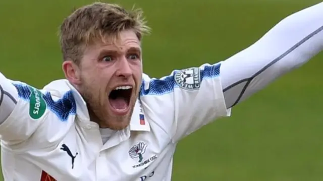 David Willey