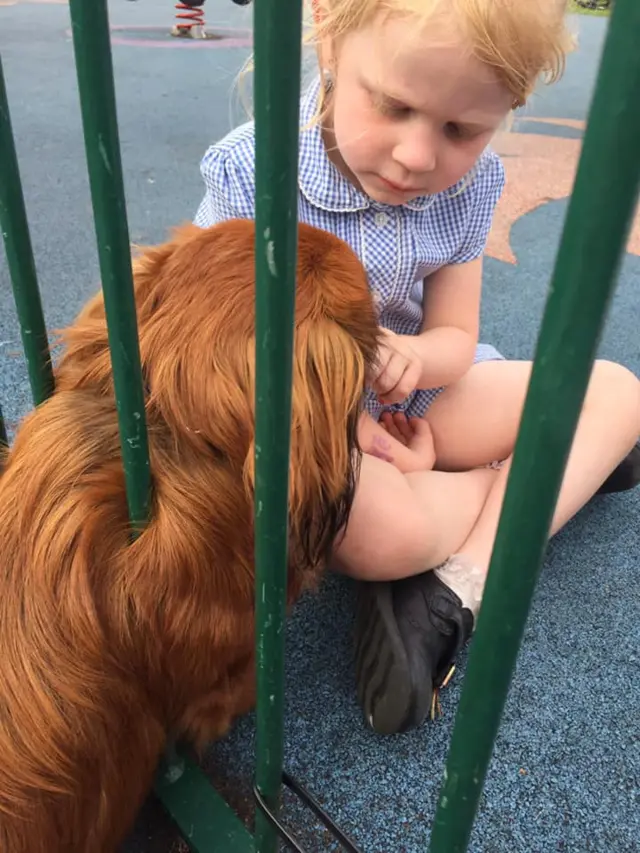 Chewy the dog stuck in the bars with Beau