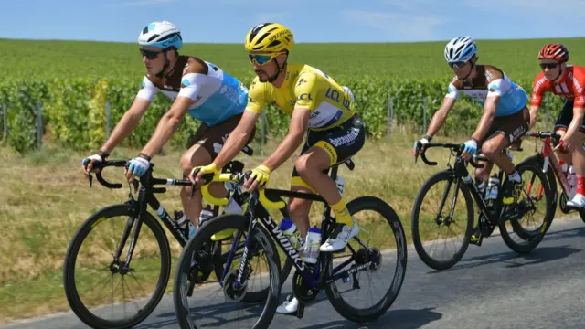 The peloton in the champagne region of France