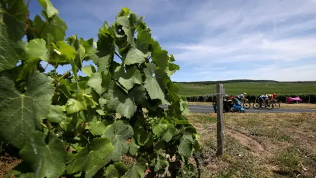 Breakaway riders in the champagne region of France