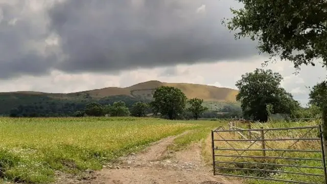 Longnor field