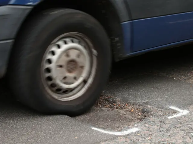 Cat hits pothole