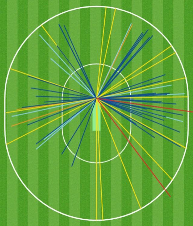 Steve Smith wagon wheel