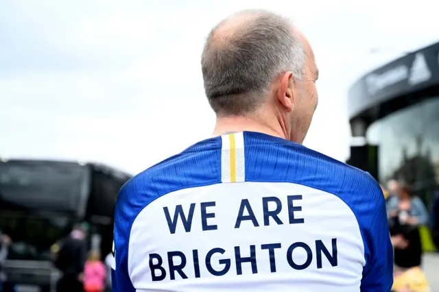 Brighton fan