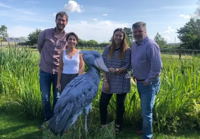 People standing next to a statue of a Shoebill