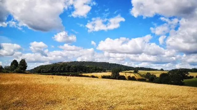 The Wrekin