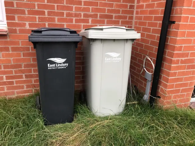 Wheelie bins