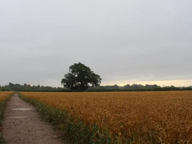 Overcast sky in Royal Leamington Spa