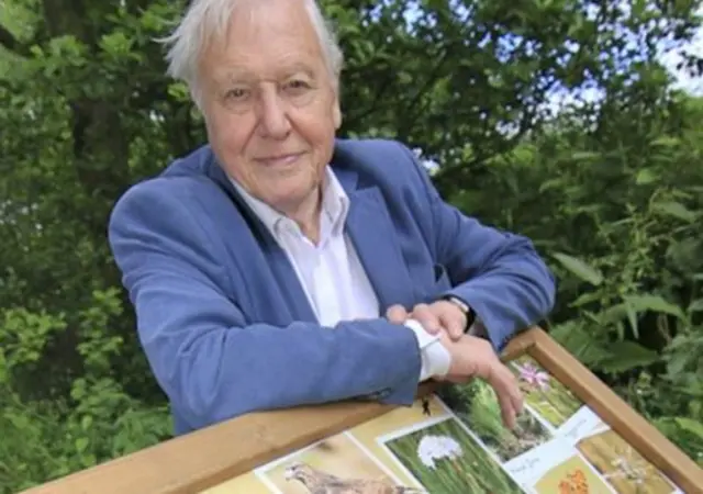 David Attenborough