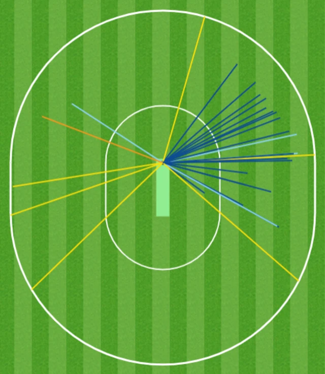 Steve Smith wagon wheel