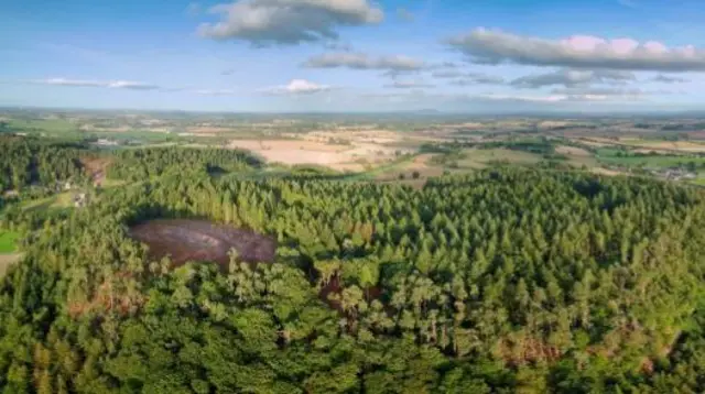 Aerial shot of Nesscliffe Hillfort