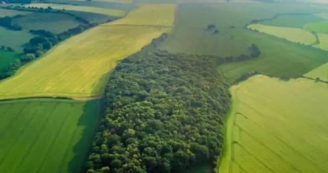 The 296-acre former greenbelt site at Chidswell