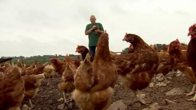 Roger Hosking with the hens